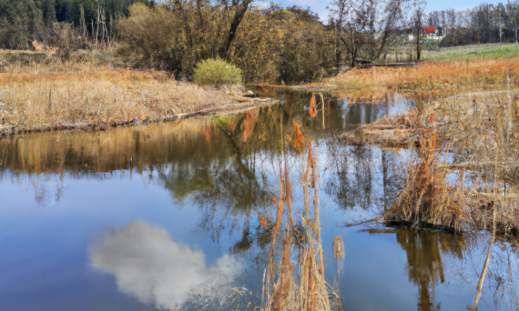 광주 오피사이트 아이러브밤 주소 이용 전 알아두면 좋은 기본 가이드 - 광주 오피사이트 아이러브밤 이용 전 반드시 알아야 할 필수 가이드